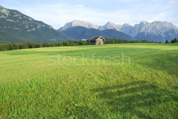 Bavarian alps Stock photo © manfredxy