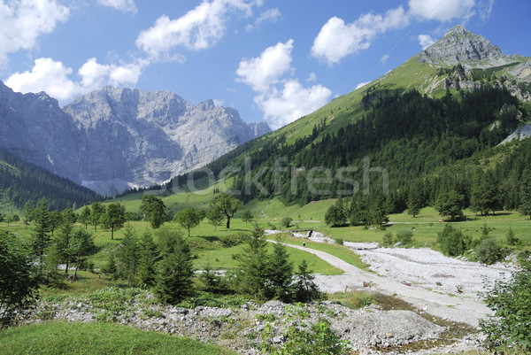 Stock photo: Summer in the alps