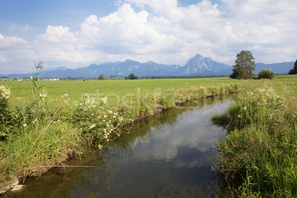 Brook in Bavaria Stock photo © manfredxy