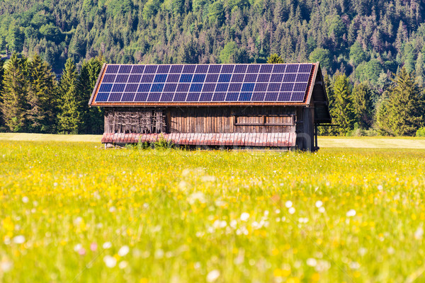 Stok fotoğraf: Ahır · fotovoltaik · çatı · yeşil · enerji · tarım · çayır