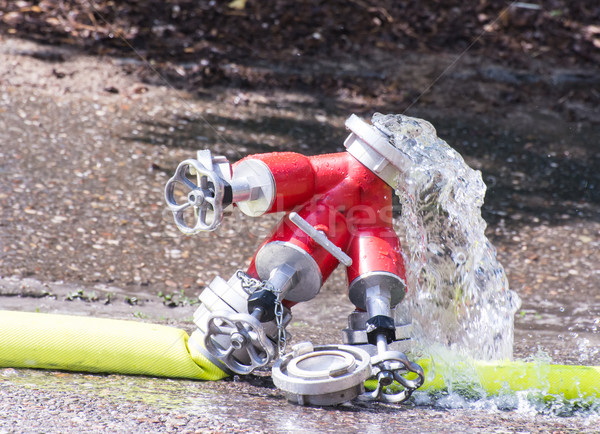 Valve and Firehose Stock photo © manfredxy