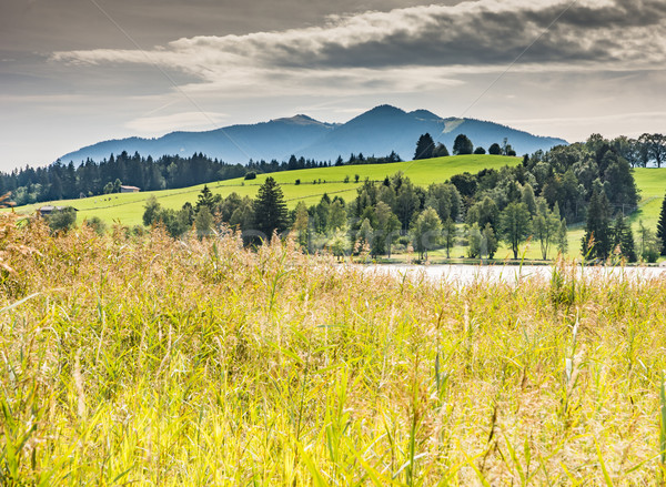 Lago vedere panorama montagna Foto d'archivio © manfredxy