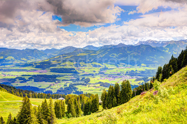 Stock foto: Berg · Landschaft · Himmel · Holz · Wald · Bäume