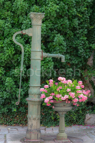 Jahrgang pumpen gut Blumen Rost Rohr Stock foto © manfredxy