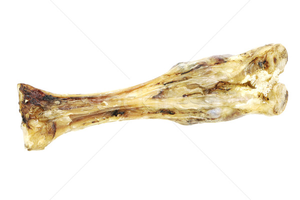 Animal Bone Stock photo © manfredxy