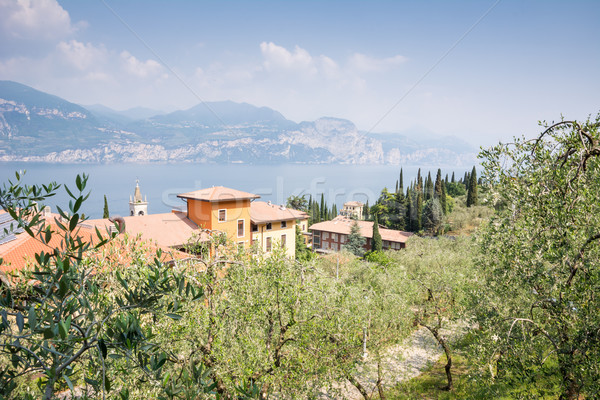 Castelletto at Lake Garda Stock photo © manfredxy