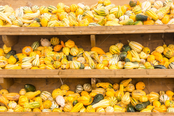 Selling pumpkins at the market Stock photo © manfredxy