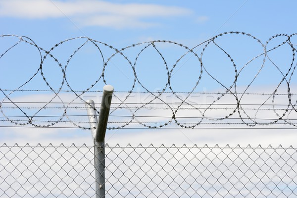 Stock photo: Barbed Wire Fence