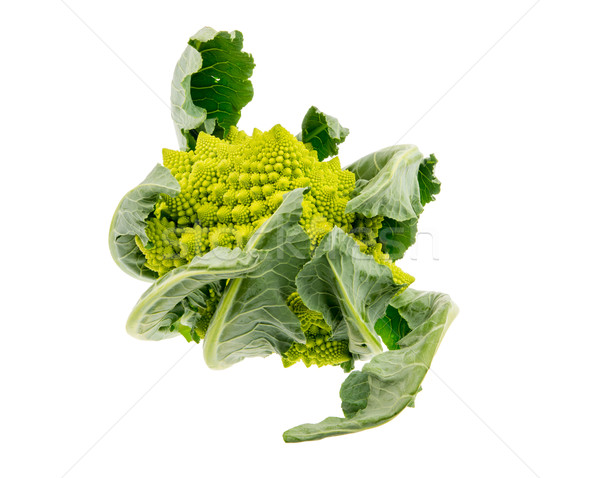 Isolated Romanesco Broccoli Stock photo © manfredxy