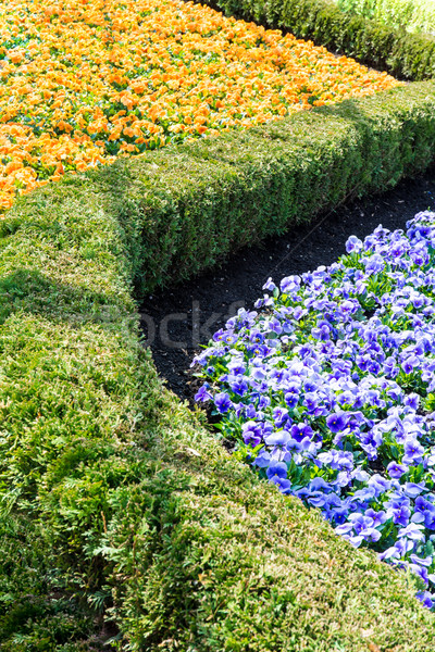 Garden Stock photo © manfredxy