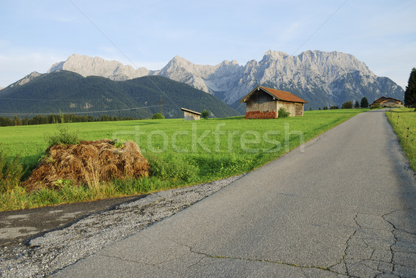 Alpine road Stock photo © manfredxy