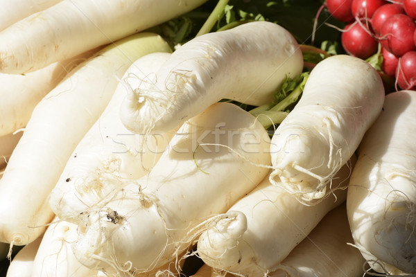 Branco rabanete fresco raízes mercado Foto stock © manfredxy