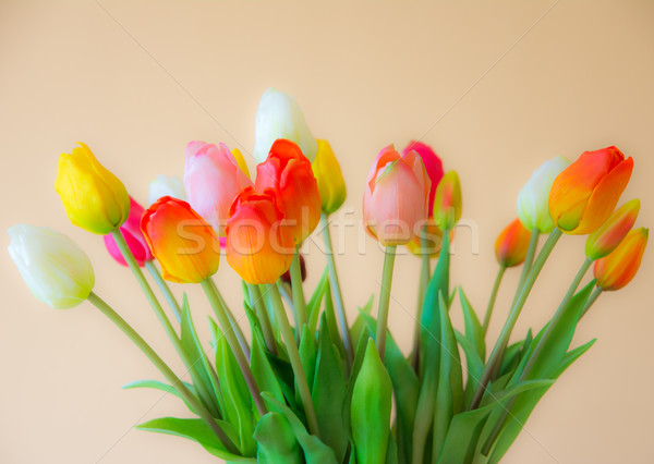 Tulip flower bouquet Stock photo © manfredxy
