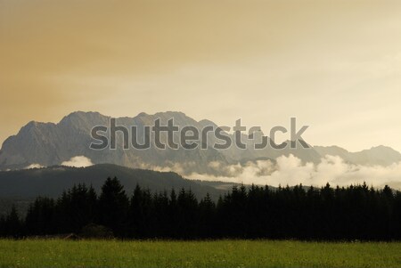 Foto stock: Alpino · pôr · do · sol · montanhas · Alemanha · árvore · nuvens