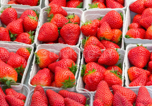 Fresh ripe red straberries at the market Stock photo © manfredxy