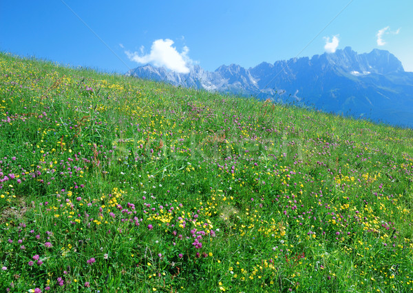 Alps in Austria Stock photo © manfredxy