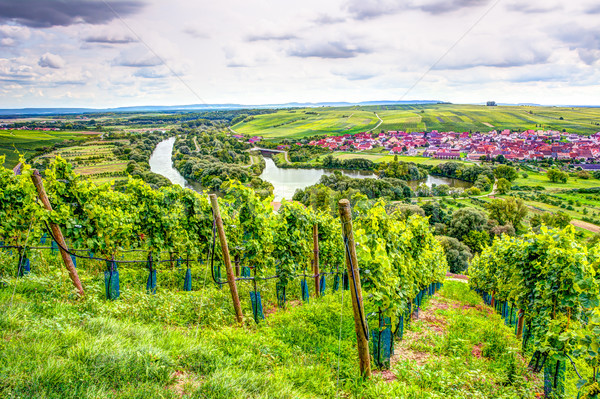 Village of Nordheim in a wine-growing district in Franconia Stock photo © manfredxy