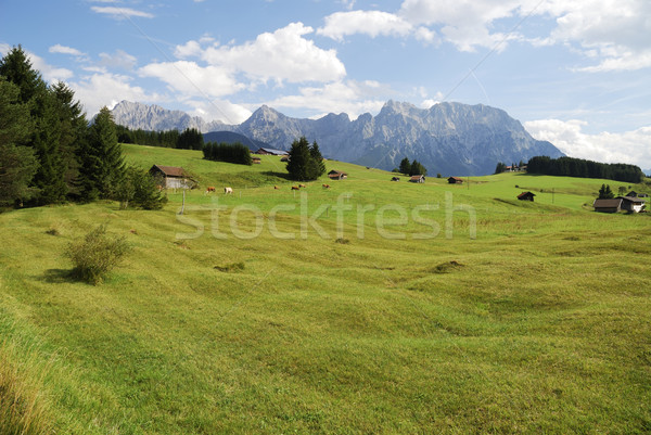 Karwendel mountains Stock photo © manfredxy