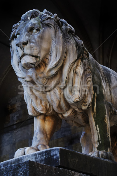 Lion sculpture Stock photo © manfredxy