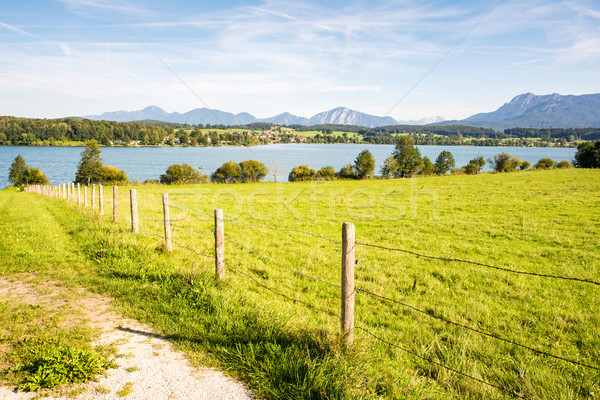 Lake Riegsee in Bavaria Stock photo © manfredxy