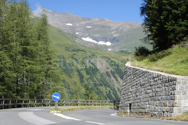 Alto alpino estrada montanha ver Áustria Foto stock © manfredxy
