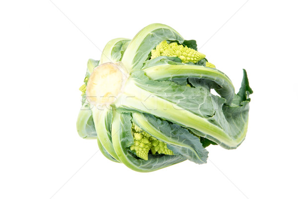 Isolated Romanesco Broccoli Stock photo © manfredxy