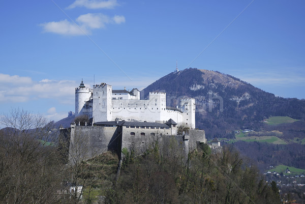 Hohensalzburg fortress Stock photo © manfredxy