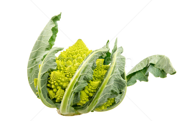 Isolated Romanesco Broccoli Stock photo © manfredxy