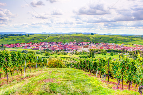 Sat district peisaj plantă Europa butuc Imagine de stoc © manfredxy