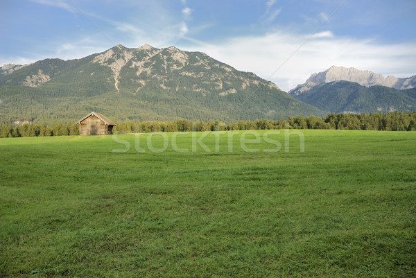 Bavarian alps Stock photo © manfredxy