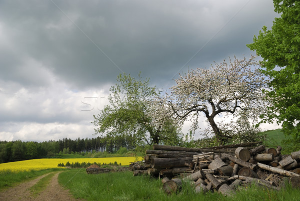 Schlechtwetter Vergewaltigung Landschaft Sturm Wolke Weg Stock foto © manfredxy