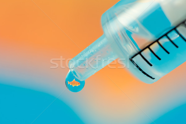 Goldfisch refraction in a drop from a syringe Stock photo © manfredxy