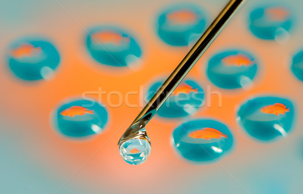Stock photo: Fish reflections in a drops from a syringe