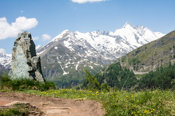 альпийский мнение горные Австрия весны Сток-фото © manfredxy