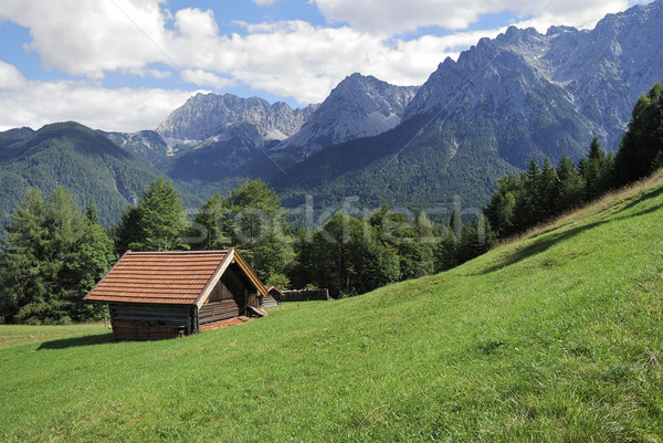 Grange alpes montagnes herbe nature paysage [[stock_photo]] © manfredxy