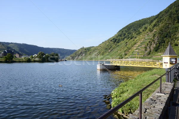 River Moselle Stock photo © manfredxy