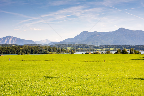 Lake Riegsee in Bavaria Stock photo © manfredxy