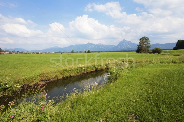 Brook in Bavaria Stock photo © manfredxy