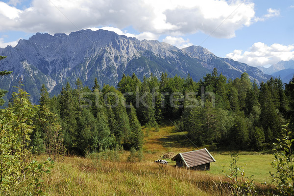 Alps Stock photo © manfredxy