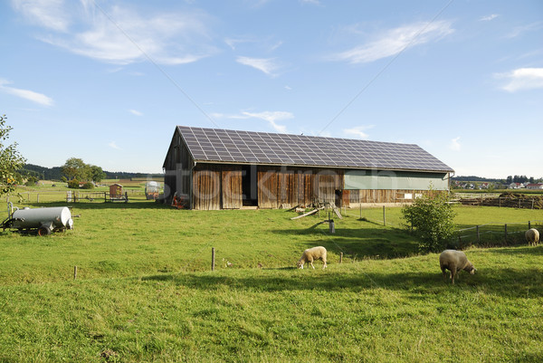 Photovoltaik alten Scheune Dach Schafe Land Stock foto © manfredxy