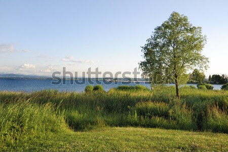 Stock foto: See · Himmel · Baum · blau · Europa · Wiese