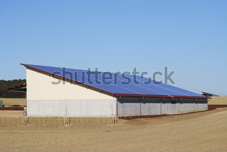 Solar energy Stock photo © manfredxy