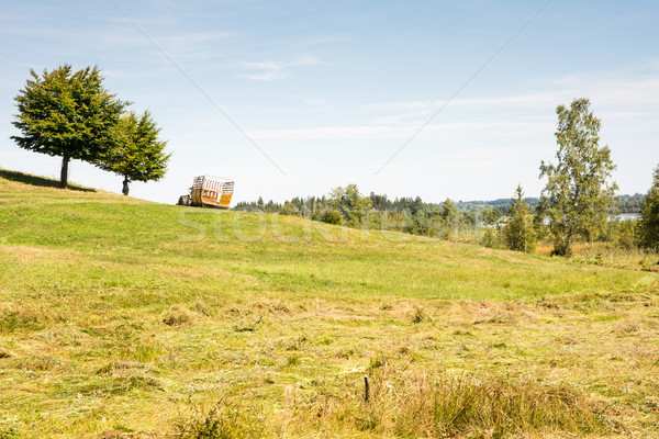 Tractor with trailer at a pasture Stock photo © manfredxy