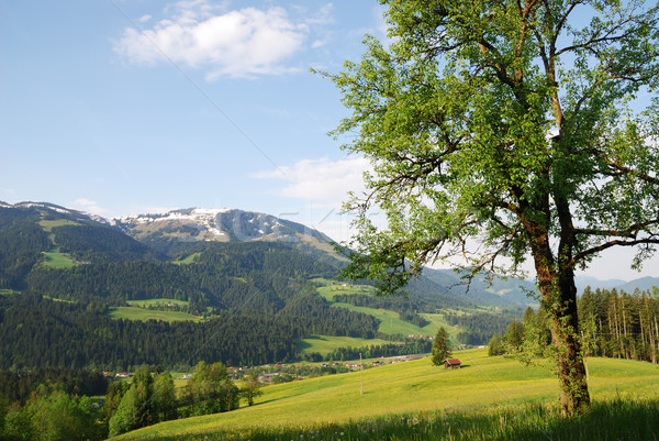 Austrian Alps Stock photo © manfredxy