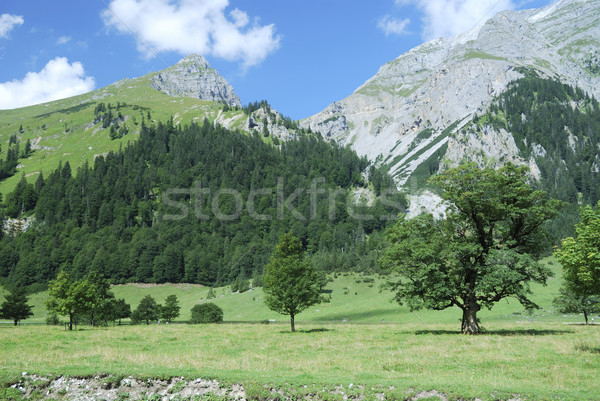 Alps in Tirol Stock photo © manfredxy