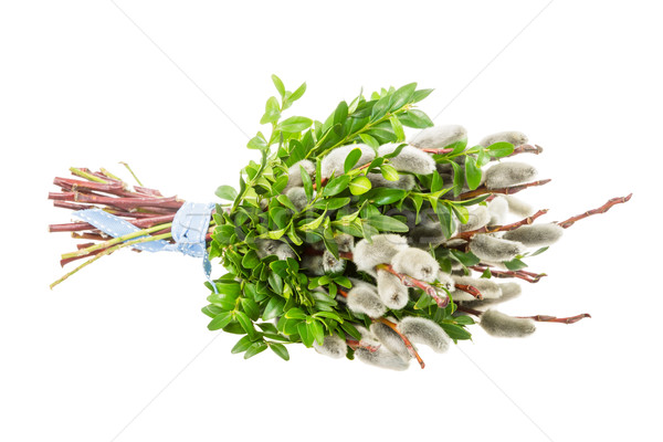 Fűzfa köteg hagyományos virágcsokor Stock fotó © manfredxy