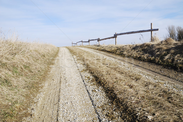 Feldweg Holz Zaun Natur Weg Stock foto © manfredxy