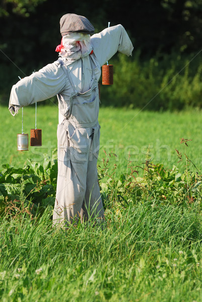 [[stock_photo]]: épouvantail · domaine · légumes · herbe · homme · jardin