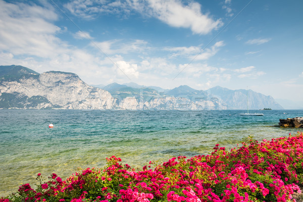 Flowers at Lake Garda Stock photo © manfredxy