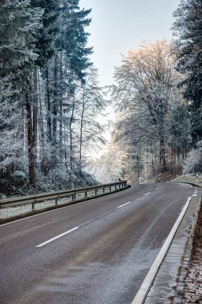 Road through a forest with frosted trees Stock photo © manfredxy
